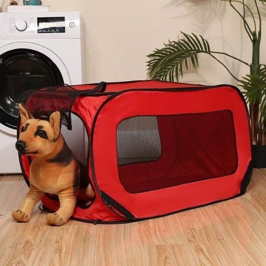 niche chien