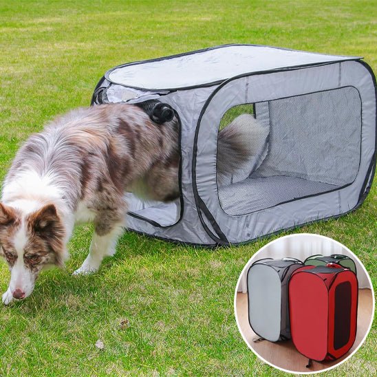 niche chien
