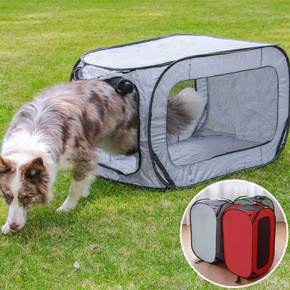 niche chien