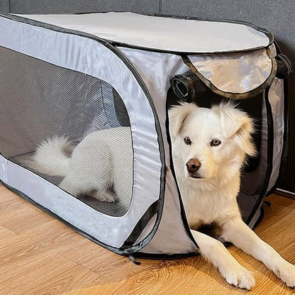 niche chien