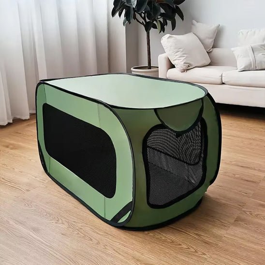 niche chien