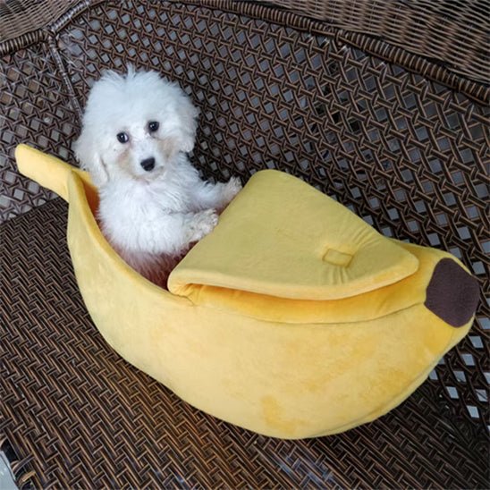 panier pour chien