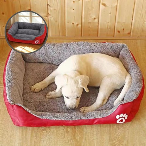 panier pour chien