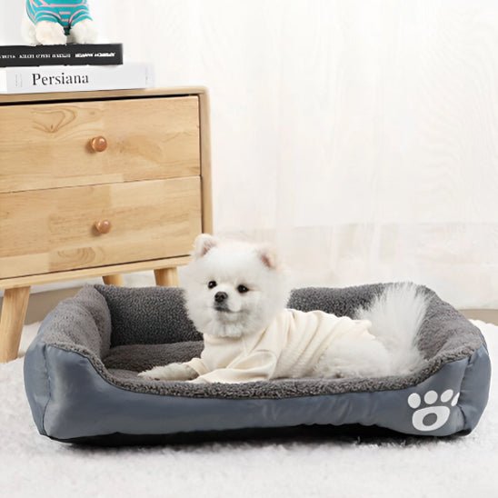 panier pour chien