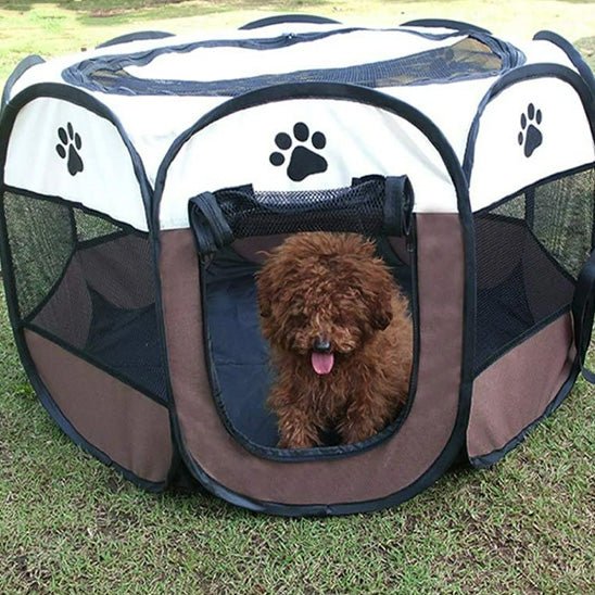 parc pour chien