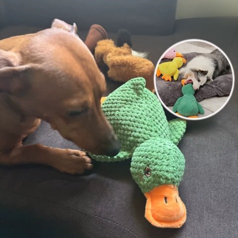 peluche-canard