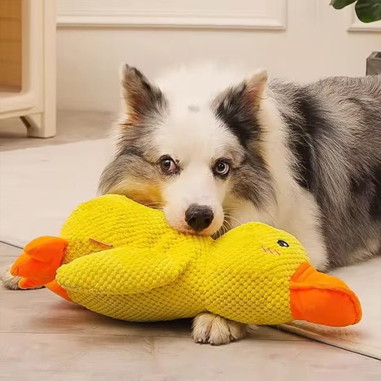 peluche-canard