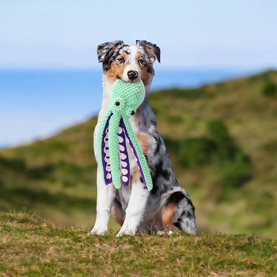 Peluche chien | OctoPlush™