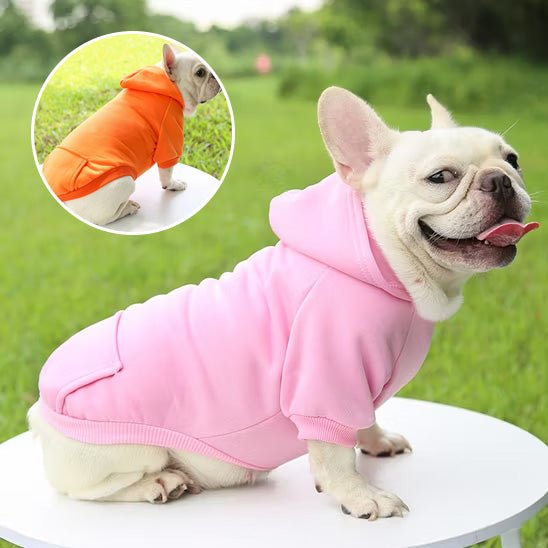 pull pour chien