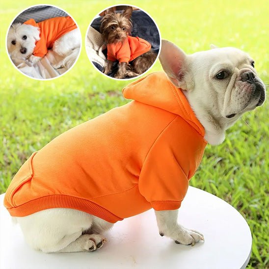 pull pour chien