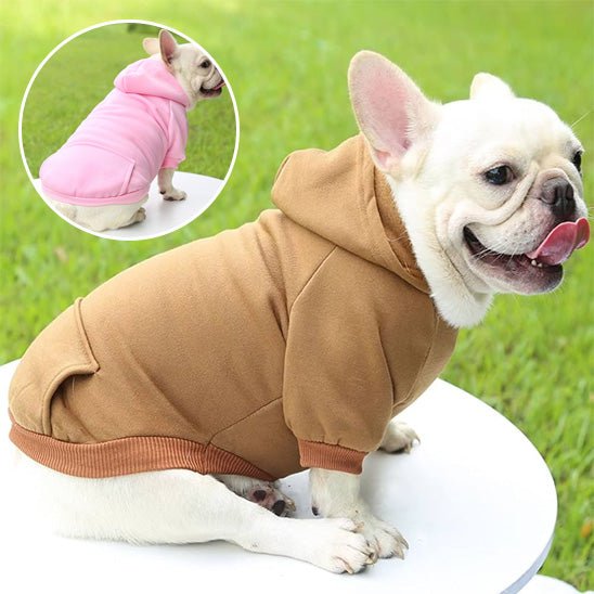 pull pour chien