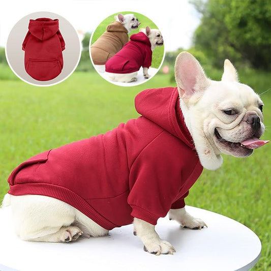 pull pour chien