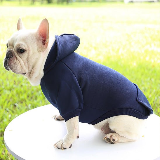 pull pour chien