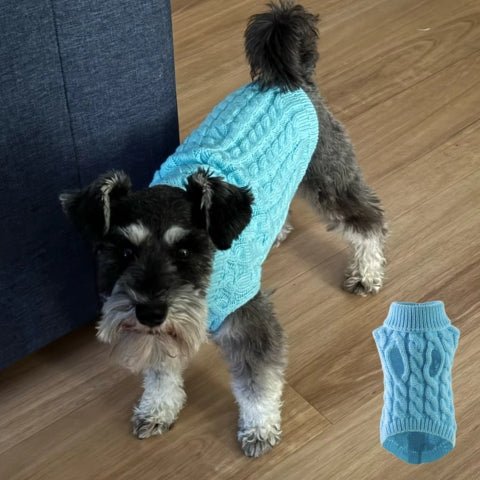 pull pour chien