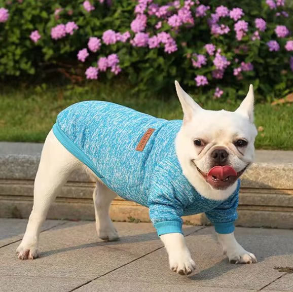 pull-pour-chien