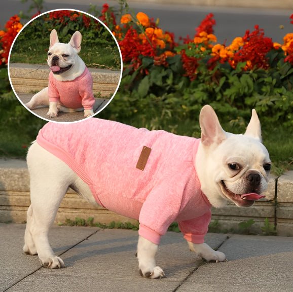 pull-pour-chien