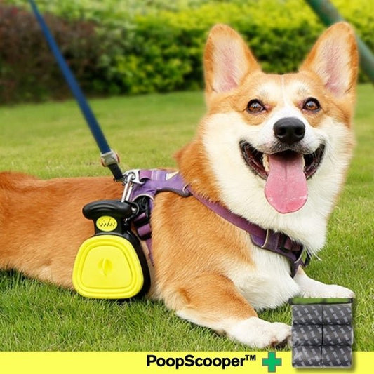 ramasse crottes pour chien