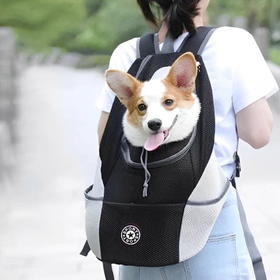 sac a dos pour chien 