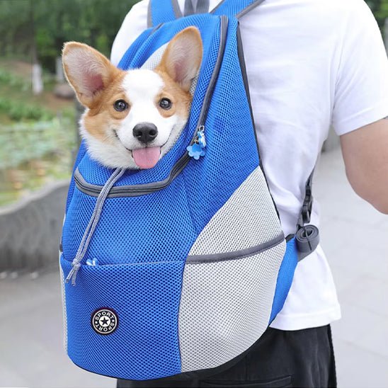sac a dos pour chien 