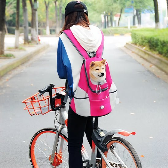sac a dos pour chien 