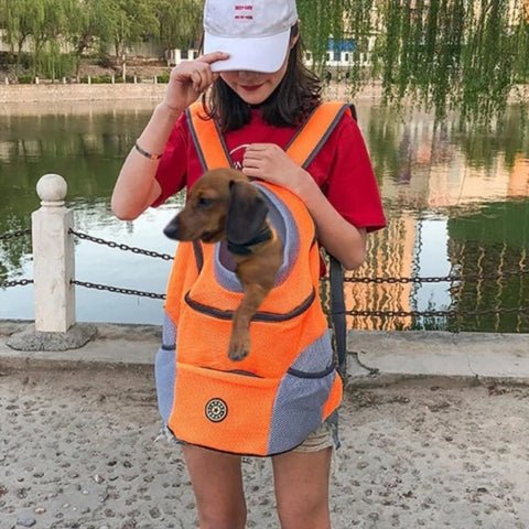 sac a dos pour chien 