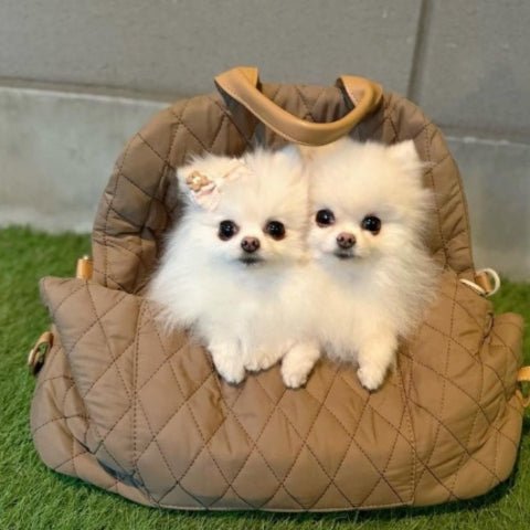 Sac de transport pour chien | ChicSac™