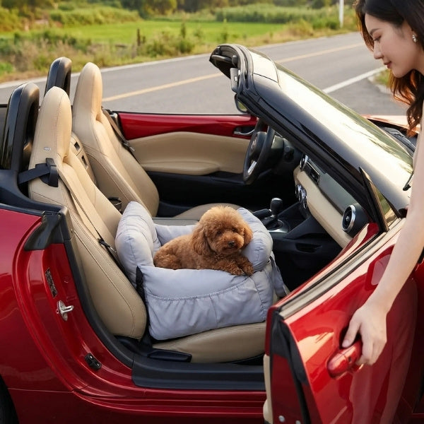 sac de transport pour chien