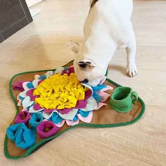 tapis de fouille chien