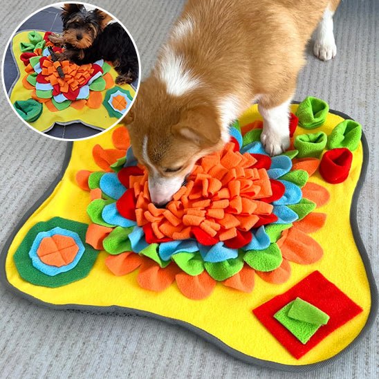 tapis de fouille chien