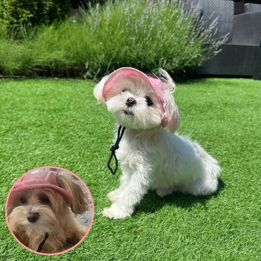 Vetement pour chien | DogHat™